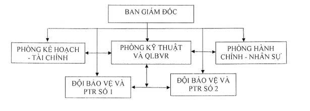 CƠ CẤU TỔ CHỨC